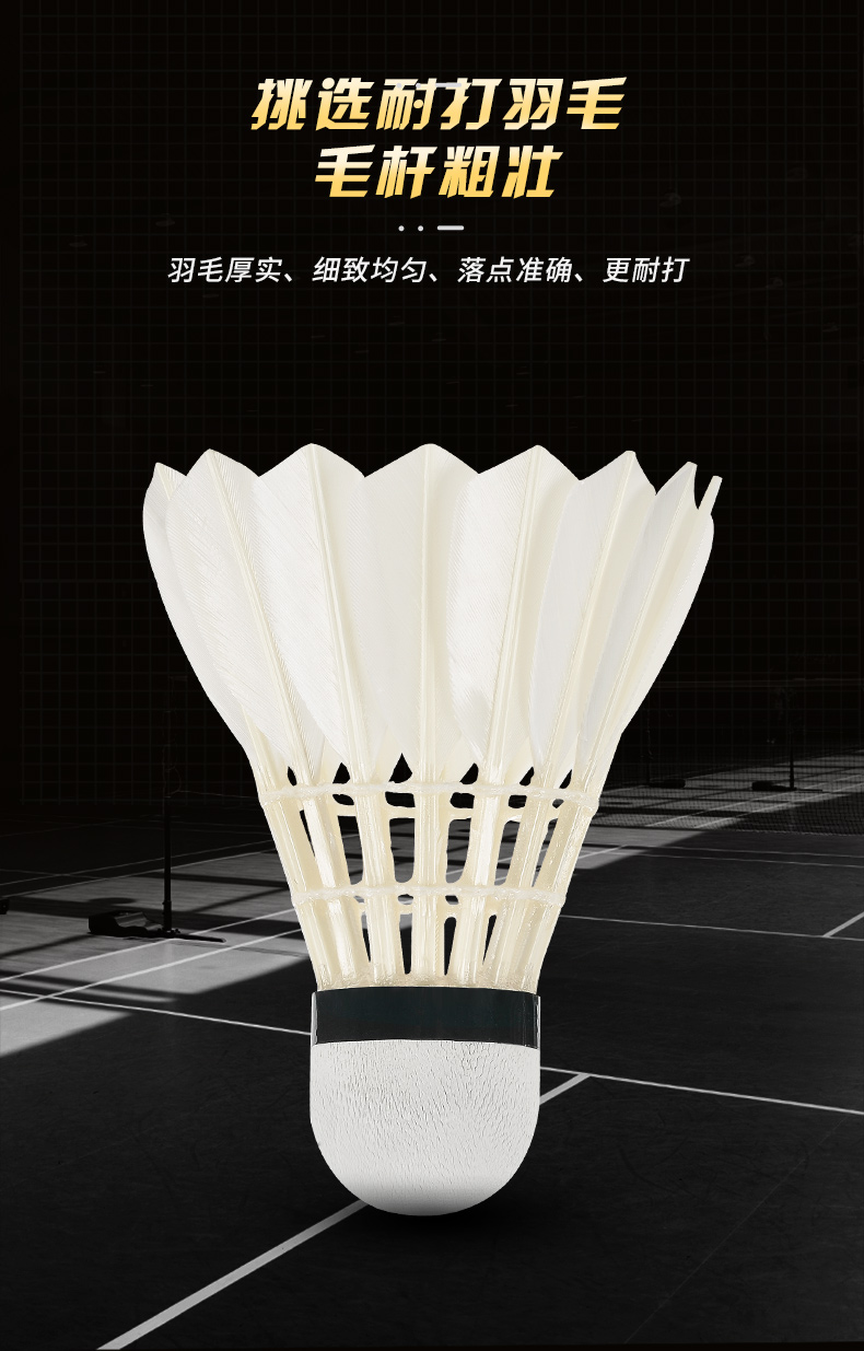 New 12PCS Professional Badmint - Badminton Youtube 리뷰 및 가격