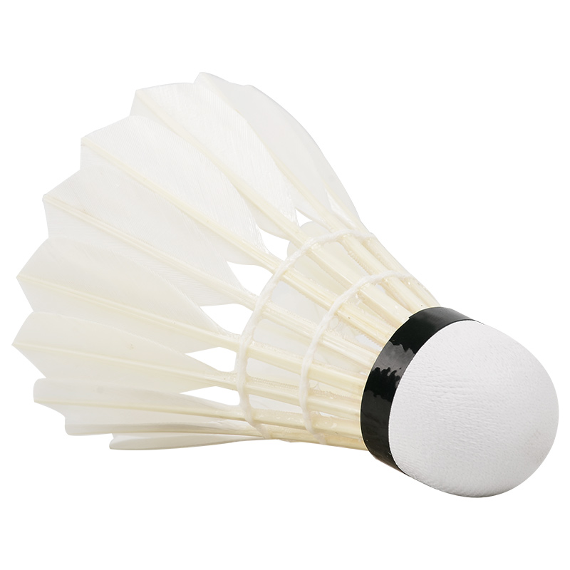New 12PCS Professional Badmint - Badminton Youtube 리뷰 및 가격