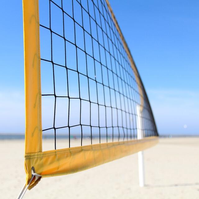 Multi-Purpose Knotted Sports N - Badminton Badminton 리뷰 및 가격