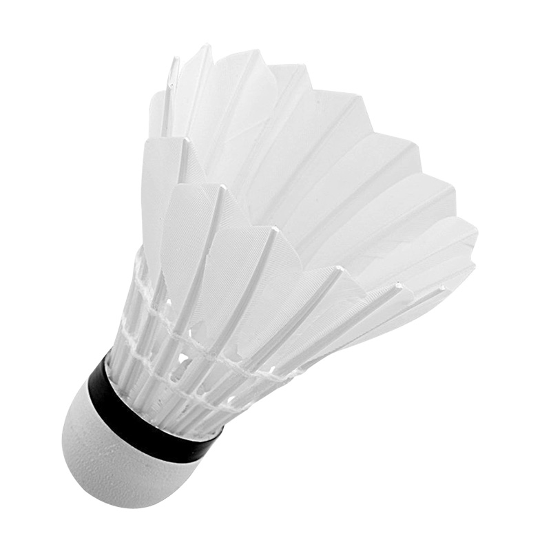 3/6/12Pcs 16 Feather Advanced  - Badminton Youtube 리뷰 및 가격