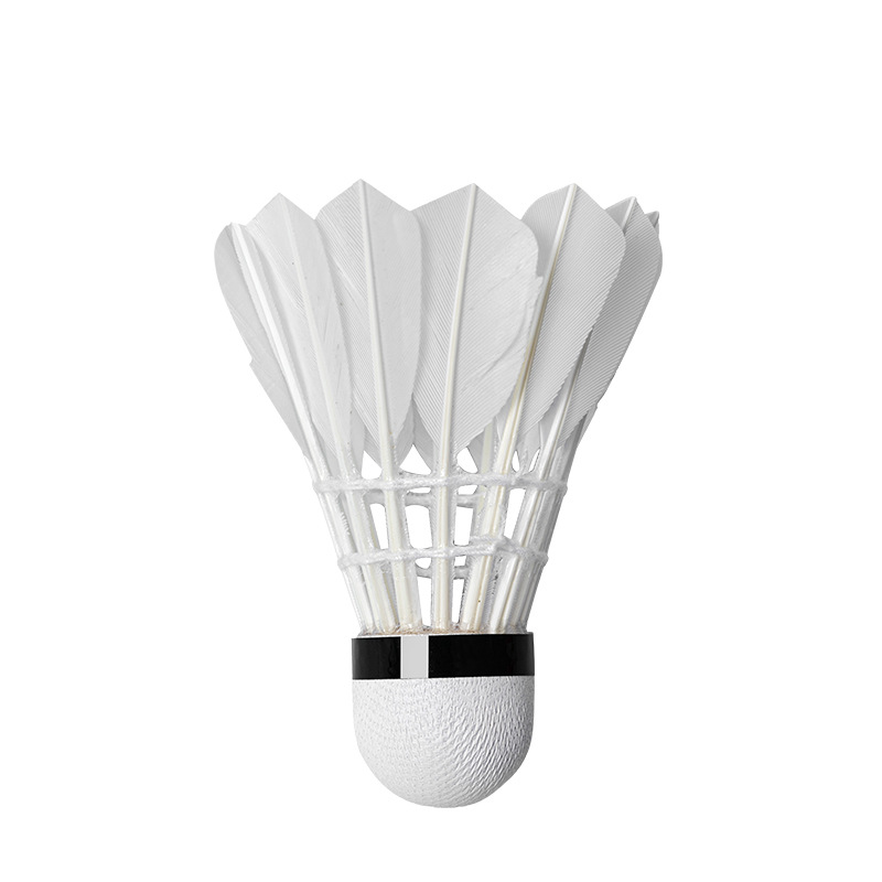 3/6/12Pcs 16 Feather Advanced  - Badminton Youtube 리뷰 및 가격