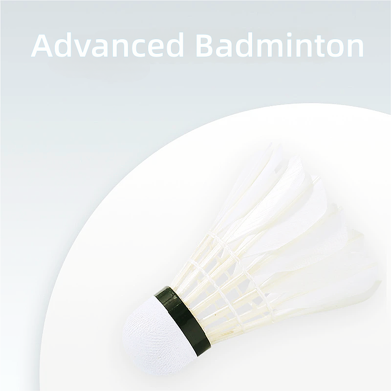3/6/12Pcs 16 Feather Advanced  - Badminton Youtube 리뷰 및 가격